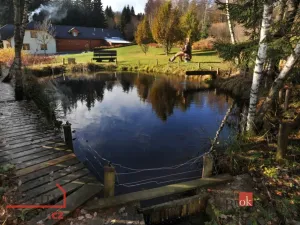 Prodej rodinného domu, Srní, 439 m2