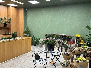 Pronájem obchodního prostoru, Brno, náměstí Svobody, 65 m2