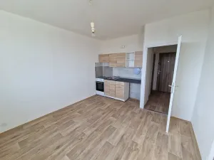 Pronájem bytu 1+1, Chomutov, Dřínovská, 37 m2