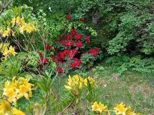 Prodej rodinného domu, Drslavice, 86 m2