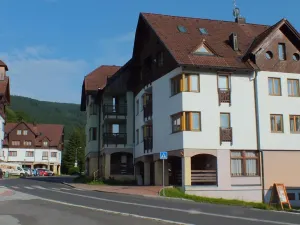 Prodej bytu 1+kk, Rokytnice nad Jizerou - Horní Rokytnice, 30 m2