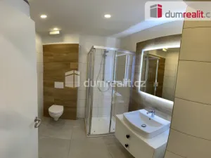 Pronájem bytu 1+kk, Opava - Město, Dolní náměstí, 49 m2