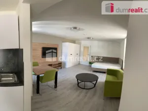 Pronájem bytu 1+kk, Opava - Město, Dolní náměstí, 49 m2