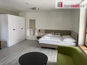 Pronájem bytu 1+kk, Opava - Město, Dolní náměstí, 49 m2