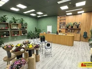 Pronájem obchodního prostoru, Brno - Brno-město, 64 m2