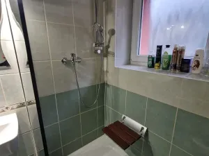 Prodej bytu 2+1, Brno, Svatopluka Čecha, 49 m2