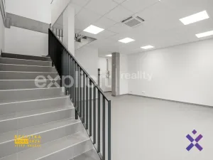 Pronájem obchodního prostoru, Brno, 444 m2