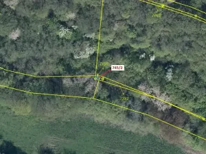 Dražba lesa, Zubrnice, 5 m2