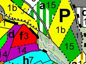 Dražba lesa, Jílové u Držkova, 88 m2