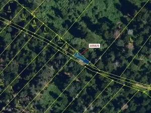 Dražba lesa, Veverské Knínice, 77 m2