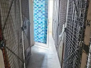 Pronájem bytu 1+kk, Brno - Lesná, Halasovo náměstí, 21 m2