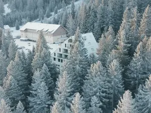 Prodej bytu 2+kk, Loučná pod Klínovcem, 31 m2