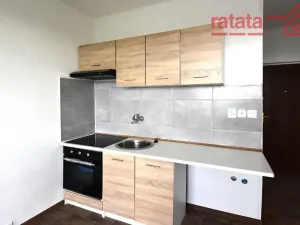 Pronájem bytu 1+1, Chomutov, Jirkovská, 33 m2