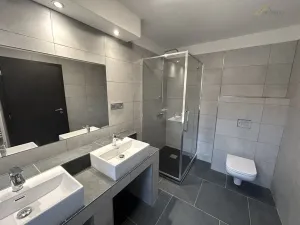 Pronájem rodinného domu, Všemyslice - Bohunice, 168 m2