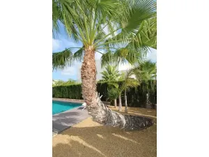 Prodej rodinného domu, Rojales, Španělsko, 160 m2