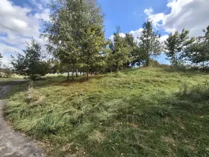 Prodej pozemku pro bydlení, Nový Kostel, 817 m2