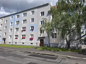 Prodej bytu 2+1, Cheb, Pastýřská, 52 m2