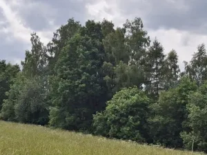 Prodej pozemku, Pomezí nad Ohří, 39941 m2