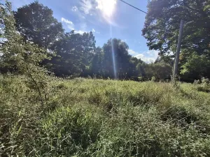 Prodej pozemku pro bydlení, Milíkov, 4644 m2