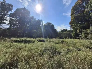 Prodej pozemku pro bydlení, Milíkov, 4644 m2