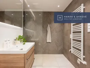 Pronájem bytu 1+kk, Brno, Cejl, 27 m2