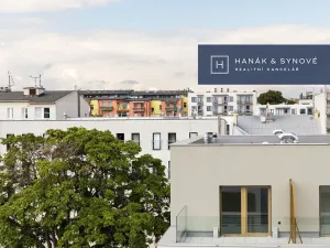 Pronájem bytu 1+kk, Brno, Cejl, 27 m2