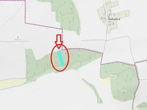 Prodej podílu lesa, Blížejov, 1818 m2