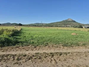 Prodej pole, Píšťany, 5816 m2