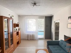 Prodej bytu 1+1, Hradec Králové, Truhlářská, 35 m2