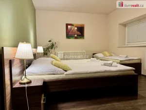 Pronájem restaurace, Topolná, 908 m2