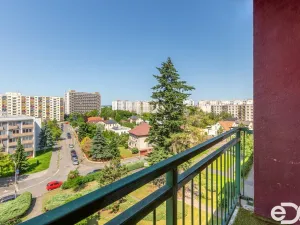 Prodej bytu 1+1, Hradec Králové, Pod Zámečkem, 40 m2