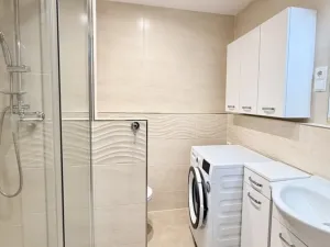 Pronájem bytu 1+1, Ostrava - Svinov, Evžena Rošického, 40 m2