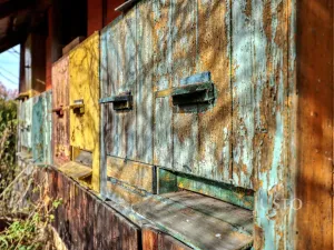 Prodej zemědělské usedlosti, Lipoltice - Sovoluská Lhota, 116 m2