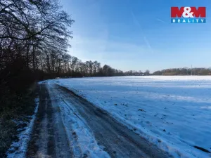 Prodej pole, Pardubice - Bílé Předměstí, 11059 m2