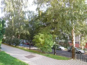 Prodej bytu 1+1, Prachatice - Prachatice II, Italská, 45 m2