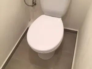 Pronájem bytu 2+1, Ostrava - Hrabůvka, Mitušova, 55 m2