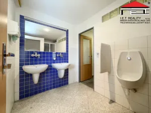 Pronájem kanceláře, Brno - Židenice, Koperníkova, 50 m2