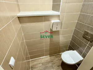 Prodej rodinného domu, Louny - Nečichy, 220 m2