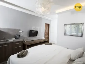 Pronájem bytu 1+kk, Třinec, Pod břehem, 23 m2