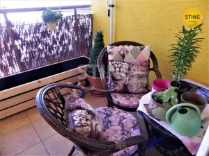 Prodej bytu 4+kk, Přerov, Čechova, 187 m2