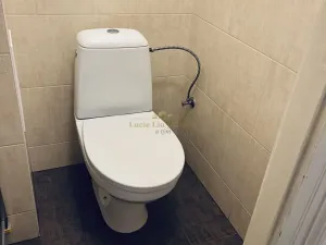 Pronájem bytu 1+kk, Praha - Vršovice, Na spojce, 19 m2