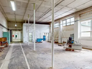 Pronájem skladu, Luby, 1700 m2