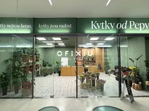 Pronájem obchodního prostoru, Brno, náměstí Svobody, 65 m2