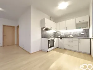 Pronájem bytu 2+kk, Hradec Králové, Antonína Petrofa, 3300 m2