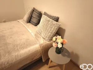 Pronájem bytu 2+kk, Hradec Králové, Antonína Petrofa, 3300 m2