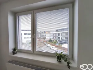 Pronájem bytu 2+kk, Hradec Králové, Antonína Petrofa, 3300 m2