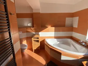 Pronájem bytu 5+kk, Liberec, Wintrova, 150 m2