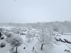 Prodej bytu 3+1, Havířov, Letní, 82 m2