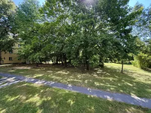 Prodej bytu 2+1, Ostrava, Zelená, 55 m2