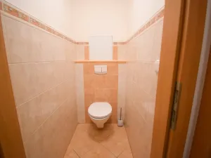 Pronájem bytu 2+kk, Plzeň - Jižní Předměstí, Boettingerova, 60 m2